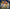 Promotion banner